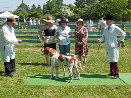 Class 204 Am Couple of Dogs, Entered
