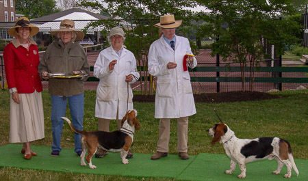 best-basset-of-2023-bryn-mawr-hound-show_53004807943_o