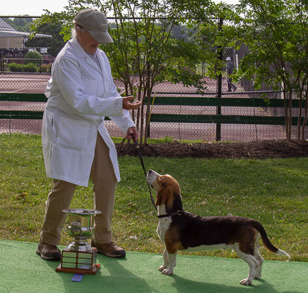 elizabeth-park-sandanona-hare-hounds_53003737527_o