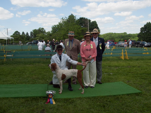 Class 213, Champion American Bitch: Potomac KNICKERS 2013