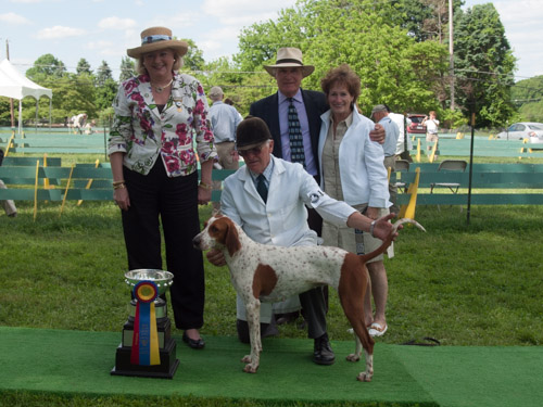 Class 215, Champion American Foxhound: Potomac KNICKERS 2013