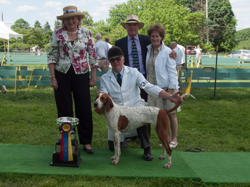 Class 215, Champion American Foxhound: Potomac KNICKERS 2013