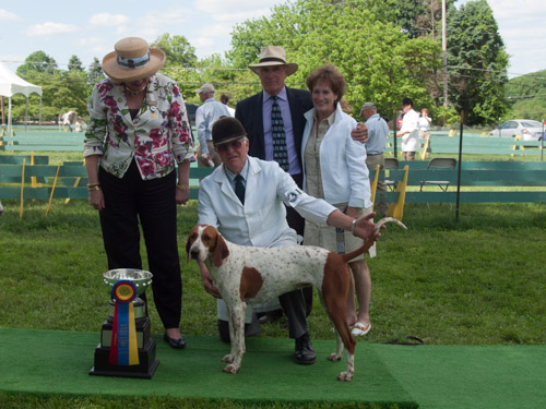 Class 215, Champion American Foxhound: Potomac KNICKERS 2013