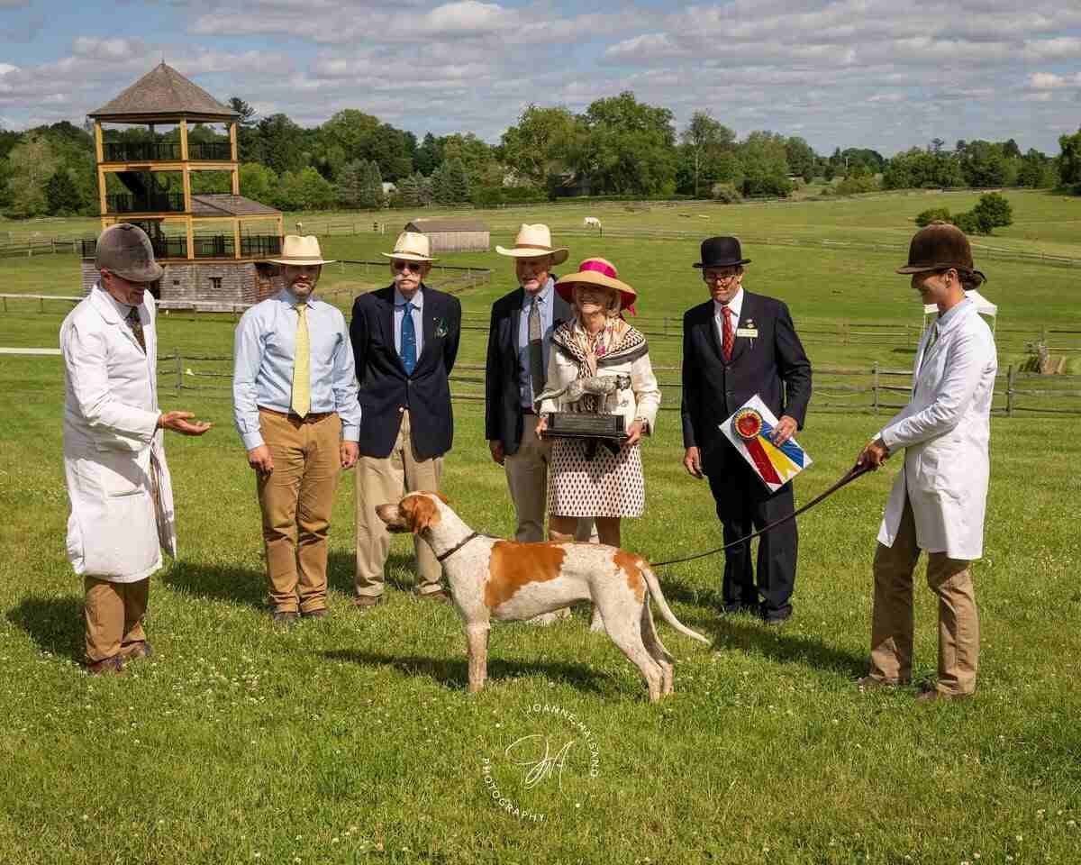 Hound posing with handlers in front of Woman holding trophy and men with a ribbon