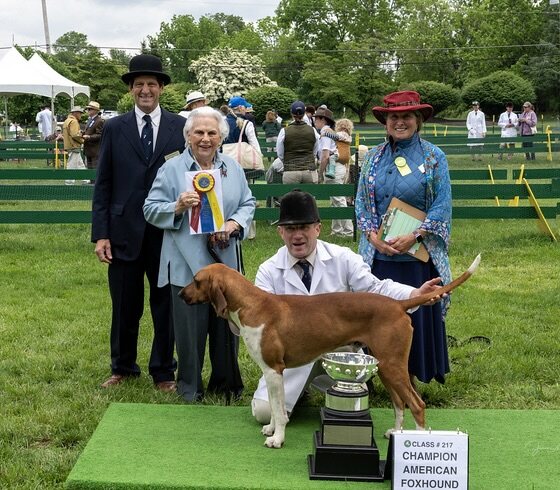 Champion hound with handler and judges, next to a trophy,