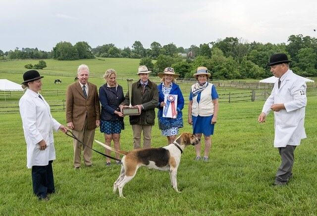 Hound with handlers and people holding a trophy