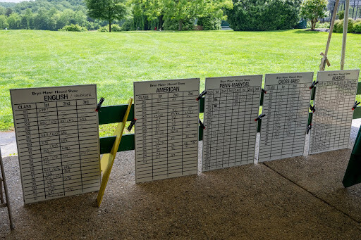 Score sheets set upright on table