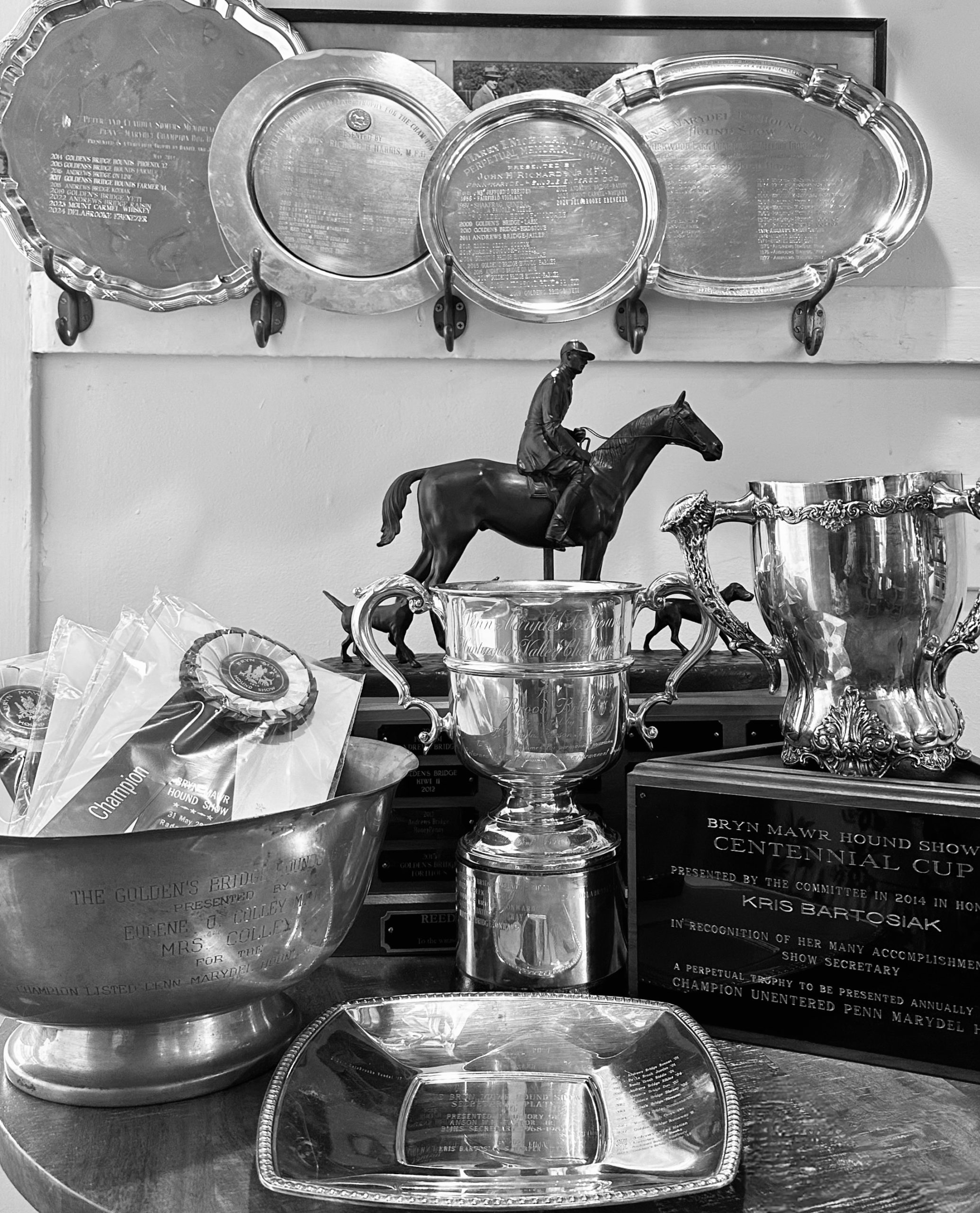 trophies all lined up with ribbons and plates